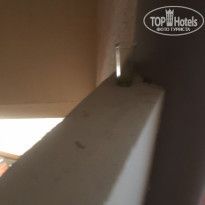 фото из отзыва ID 2042311