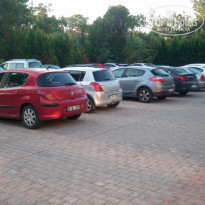 фото из отзыва ID 2042294