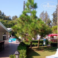 фото из отзыва ID 2042294