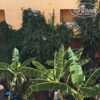 фото из отзыва ID 2042311