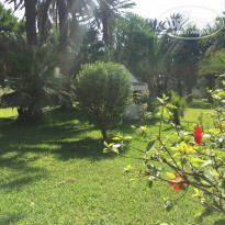 фото из отзыва ID 2042311