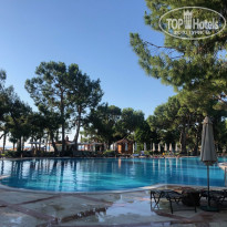 фото из отзыва ID 2042400