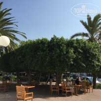 фото из отзыва ID 2042393