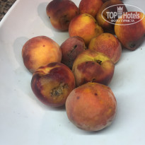 фото из отзыва ID 2042393