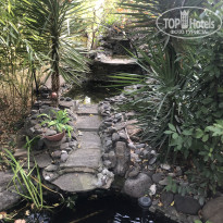 фото из отзыва ID 2042412