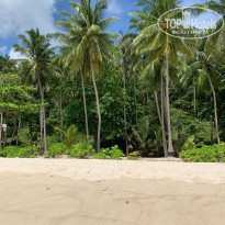 фото из отзыва ID 2042634