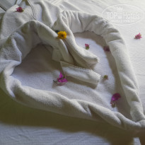 фото из отзыва ID 2042527