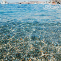 фото из отзыва ID 2042732