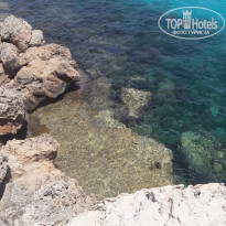 фото из отзыва ID 2042744