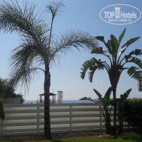 фото из отзыва ID 2042744