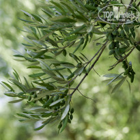 фото из отзыва ID 2042767