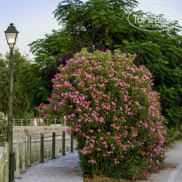 фото из отзыва ID 2042767