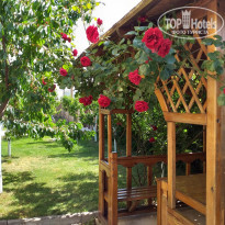 фото из отзыва ID 2041174