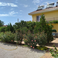 фото из отзыва ID 2041174