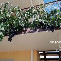 фото из отзыва ID 2041174