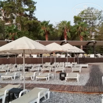 фото из отзыва ID 2042817