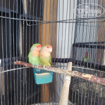 фото из отзыва ID 2042968