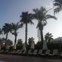 фото из отзыва ID 2041660