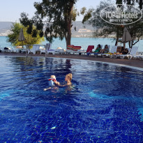 фото из отзыва ID 2042893