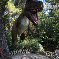 фото из отзыва ID 2043042