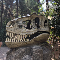 фото из отзыва ID 2043042