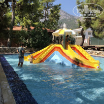 фото из отзыва ID 2043042