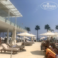 фото из отзыва ID 2043043