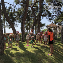 фото из отзыва ID 2043042