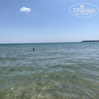 фото из отзыва ID 2043138