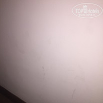 фото из отзыва ID 2043168