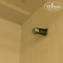 фото из отзыва ID 2043168