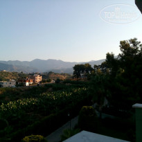 фото из отзыва ID 2043125