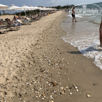 фото из отзыва ID 2043240