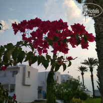 фото из отзыва ID 2042059