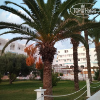 фото из отзыва ID 2042059