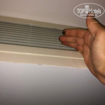 фото из отзыва ID 2043370