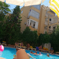 фото из отзыва ID 2043306