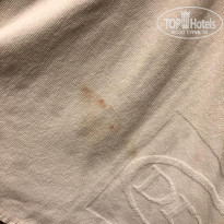 фото из отзыва ID 2043370