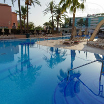 фото из отзыва ID 2043321