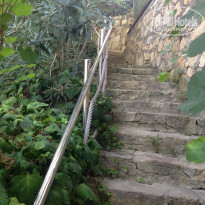 фото из отзыва ID 2043399