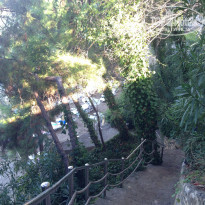 фото из отзыва ID 2043399