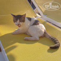 фото из отзыва ID 2043510