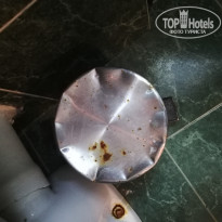 фото из отзыва ID 2043528