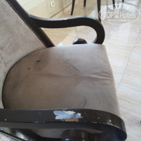 фото из отзыва ID 2043528