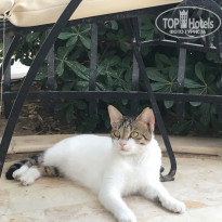 фото из отзыва ID 2043529