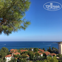 фото из отзыва ID 2043529