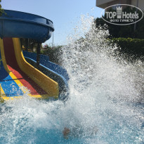 фото из отзыва ID 2043529