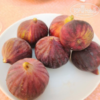 фото из отзыва ID 2043617