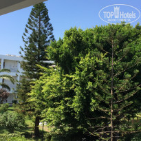 фото из отзыва ID 2043715