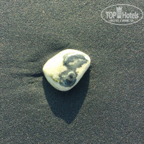 фото из отзыва ID 2043715